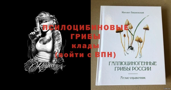 прущие грибы Алексин