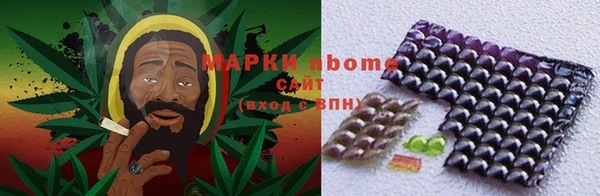 прущие грибы Алексин