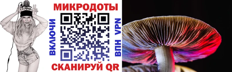 Галлюциногенные грибы Magic Shrooms  цены   Ардон 